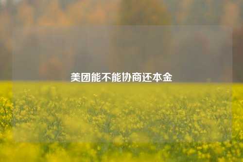 美团能不能协商还本金