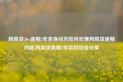 网商贷20w逾期2年亲身经历如何处理网商贷逾期问题,网商贷逾期2年后的经验分享