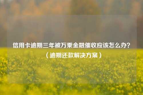 信用卡逾期三年被万乘金融催收应该怎么办？（逾期还款解决方案）