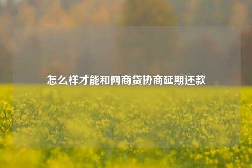 怎么样才能和网商贷协商延期还款