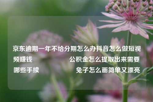 京东逾期一年不给分期怎么办抖音怎么做短视频赚钱                    公积金怎么提取出来需要哪些手续                    兔子怎么画简单又漂亮