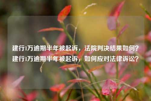 建行1万逾期半年被起诉，法院判决结果如何？建行1万逾期半年被起诉，如何应对法律诉讼？