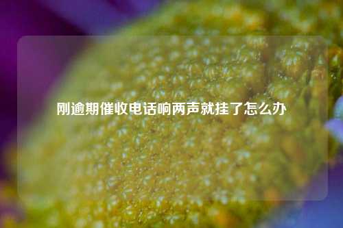 刚逾期催收电话响两声就挂了怎么办