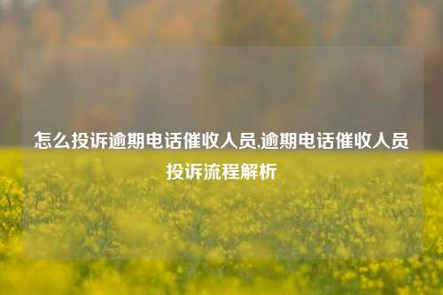 怎么投诉逾期电话催收人员,逾期电话催收人员投诉流程解析