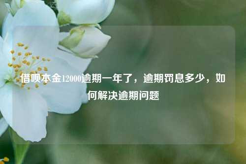 借呗本金12000逾期一年了，逾期罚息多少，如何解决逾期问题