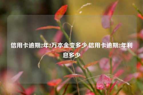 信用卡逾期2年2万本金变多少,信用卡逾期2年利息多少