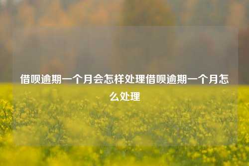 借呗逾期一个月会怎样处理借呗逾期一个月怎么处理