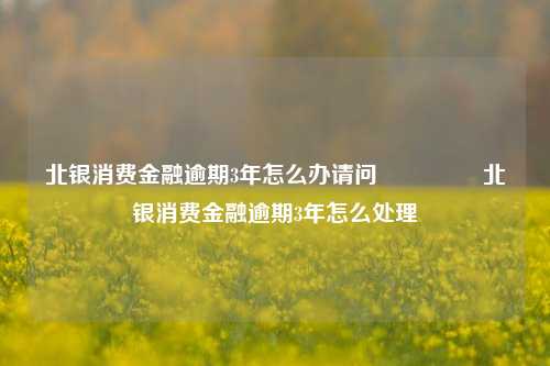 北银消费金融逾期3年怎么办请问                北银消费金融逾期3年怎么处理