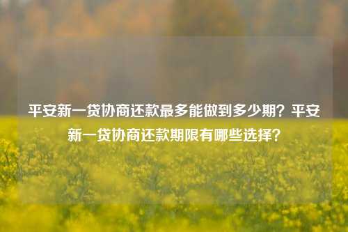 平安新一贷协商还款最多能做到多少期？平安新一贷协商还款期限有哪些选择？