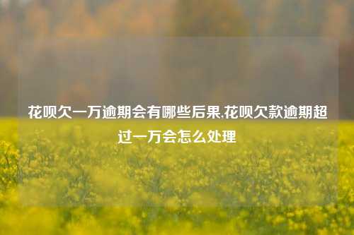 花呗欠一万逾期会有哪些后果,花呗欠款逾期超过一万会怎么处理