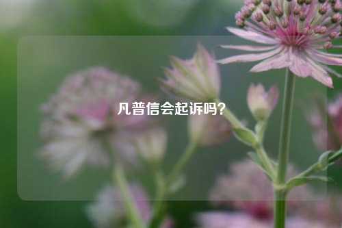 凡普信会起诉吗？