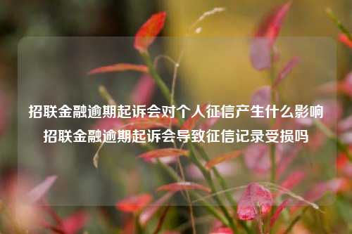 招联金融逾期起诉会对个人征信产生什么影响招联金融逾期起诉会导致征信记录受损吗