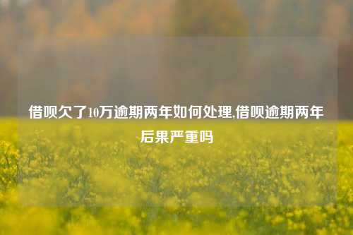 借呗欠了10万逾期两年如何处理,借呗逾期两年后果严重吗