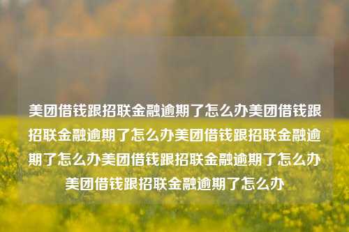 美团借钱跟招联金融逾期了怎么办美团借钱跟招联金融逾期了怎么办美团借钱跟招联金融逾期了怎么办美团借钱跟招联金融逾期了怎么办美团借钱跟招联金融逾期了怎么办