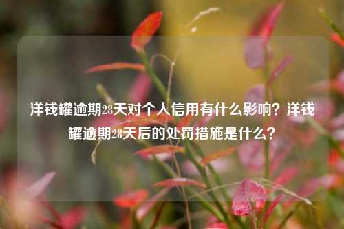 洋钱罐逾期28天对个人信用有什么影响？洋钱罐逾期28天后的处罚措施是什么？