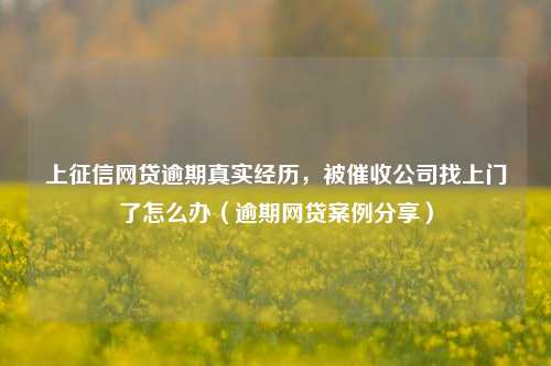 上征信网贷逾期真实经历，被催收公司找上门了怎么办（逾期网贷案例分享）