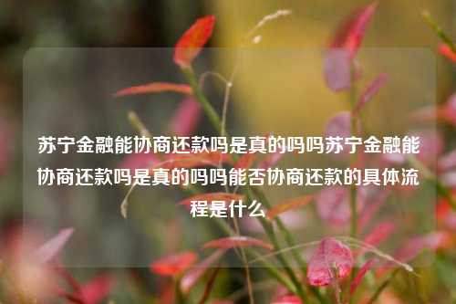 苏宁金融能协商还款吗是真的吗吗苏宁金融能协商还款吗是真的吗吗能否协商还款的具体流程是什么