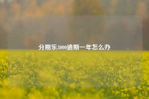 分期乐3000逾期一年怎么办