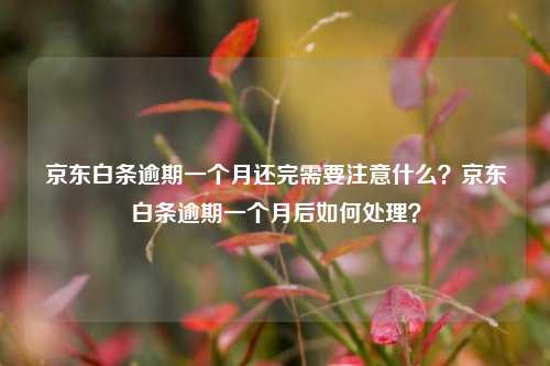 京东白条逾期一个月还完需要注意什么？京东白条逾期一个月后如何处理？