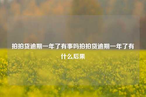 拍拍贷逾期一年了有事吗拍拍贷逾期一年了有什么后果