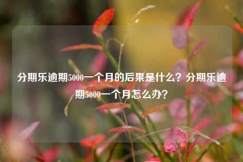 分期乐逾期5000一个月的后果是什么？分期乐逾期5000一个月怎么办？