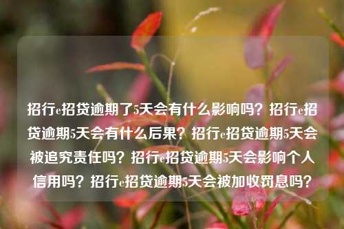 招行e招贷逾期了5天会有什么影响吗？招行e招贷逾期5天会有什么后果？招行e招贷逾期5天会被追究责任吗？招行e招贷逾期5天会影响个人信用吗？招行e招贷逾期5天会被加收罚息吗？