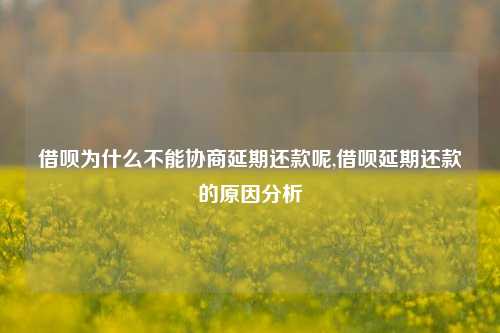 借呗为什么不能协商延期还款呢,借呗延期还款的原因分析