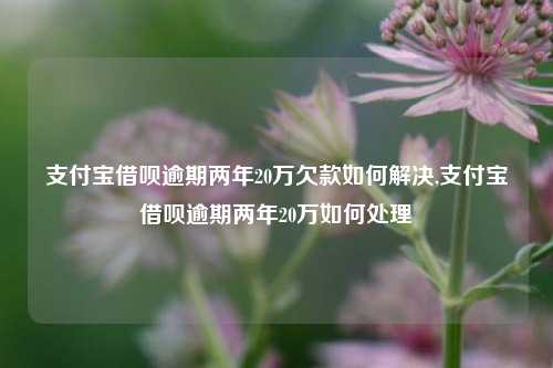 支付宝借呗逾期两年20万欠款如何解决,支付宝借呗逾期两年20万如何处理