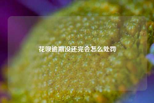 花呗逾期没还完会怎么处罚