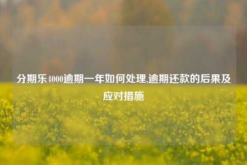 分期乐4000逾期一年如何处理,逾期还款的后果及应对措施