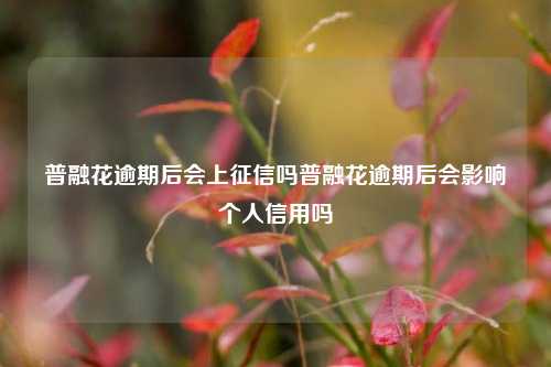 普融花逾期后会上征信吗普融花逾期后会影响个人信用吗