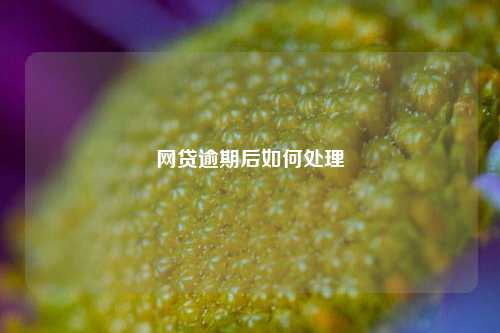 网贷逾期后如何处理