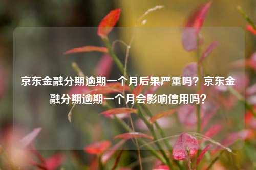 京东金融分期逾期一个月后果严重吗？京东金融分期逾期一个月会影响信用吗？