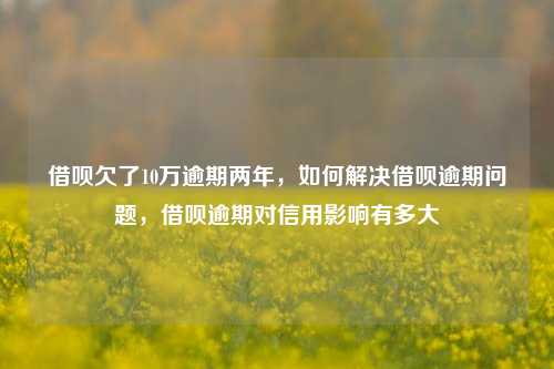 借呗欠了10万逾期两年，如何解决借呗逾期问题，借呗逾期对信用影响有多大