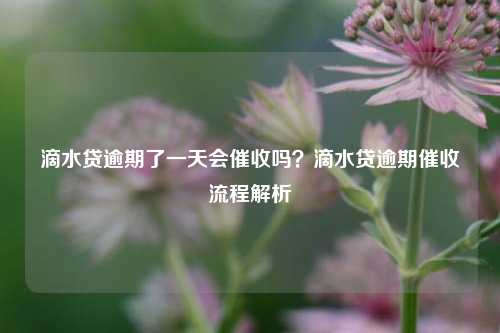 滴水贷逾期了一天会催收吗？滴水贷逾期催收流程解析