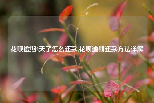 花呗逾期2天了怎么还款,花呗逾期还款方法详解