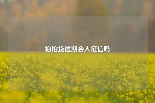 拍拍贷逾期会入征信吗