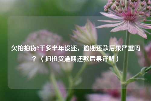 欠拍拍贷2千多半年没还，逾期还款后果严重吗？（拍拍贷逾期还款后果详解）