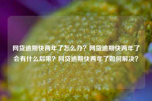 网贷逾期快两年了怎么办？网贷逾期快两年了会有什么后果？网贷逾期快两年了如何解决？