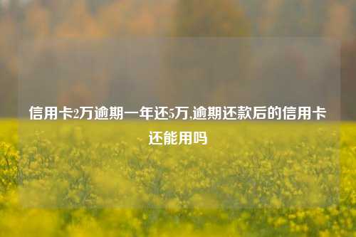 信用卡2万逾期一年还5万,逾期还款后的信用卡还能用吗