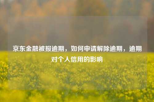 京东金融被报逾期，如何申请解除逾期，逾期对个人信用的影响