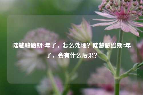 陆慧融逾期2年了，怎么处理？陆慧融逾期2年了，会有什么后果？