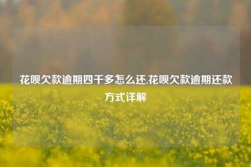 花呗欠款逾期四千多怎么还,花呗欠款逾期还款方式详解