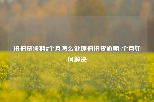 拍拍贷逾期8个月怎么处理拍拍贷逾期8个月如何解决