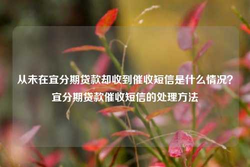 从未在宜分期贷款却收到催收短信是什么情况？宜分期贷款催收短信的处理方法