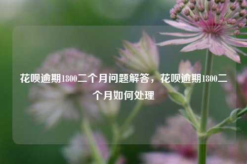 花呗逾期1800二个月问题解答，花呗逾期1800二个月如何处理