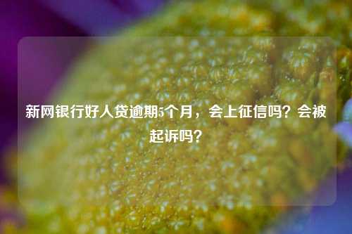 新网银行好人贷逾期5个月，会上征信吗？会被起诉吗？