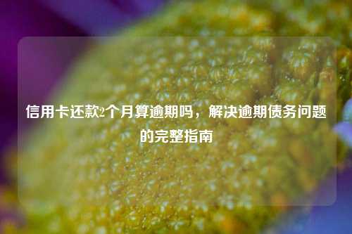 信用卡还款2个月算逾期吗，解决逾期债务问题的完整指南