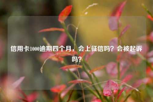 信用卡1000逾期四个月，会上征信吗？会被起诉吗？