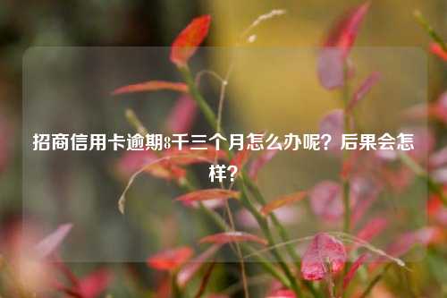 招商信用卡逾期8千三个月怎么办呢？后果会怎样？